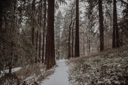 withoutroots:25 december // mt. tabor