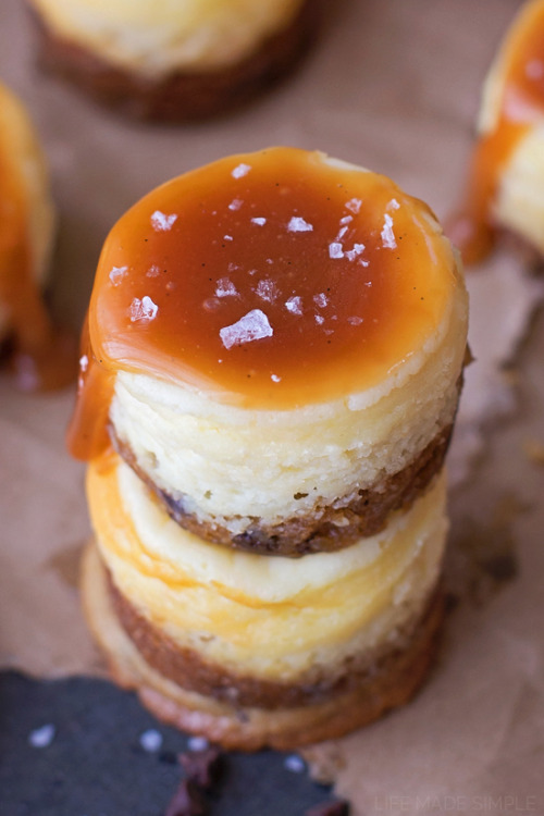 lustingfood:  MINI CHOCOLATE CHIP COOKIE BOTTOM CHEESECAKES WITH VANILLA BEAN SALTED CARAMEL 
