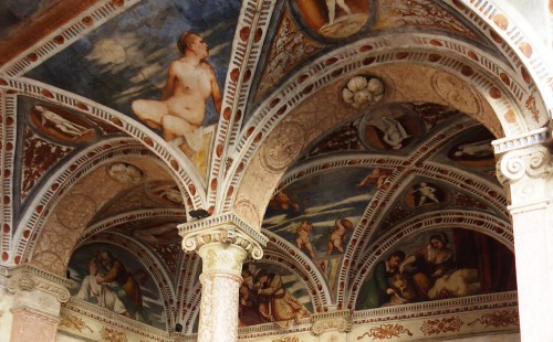  La Loggia del Romanino nel Castello del Buonconsiglio di Trento 