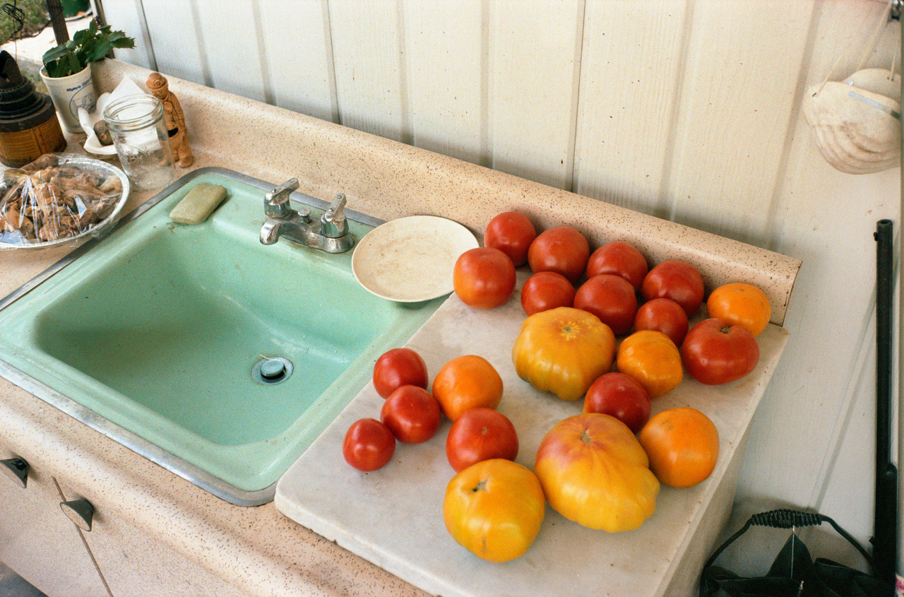 similarfruit:william eggleston