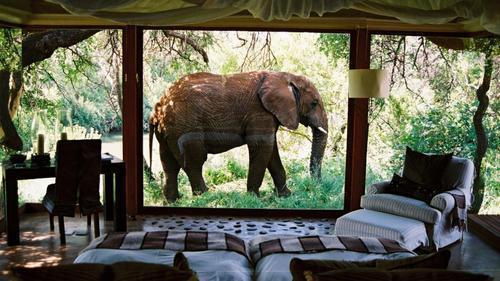 thebanjodiaries:Room With A View, South Africa