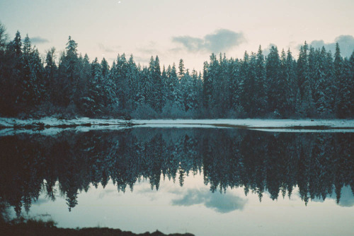 brutalgeneration:  (by Miles Bowers) 