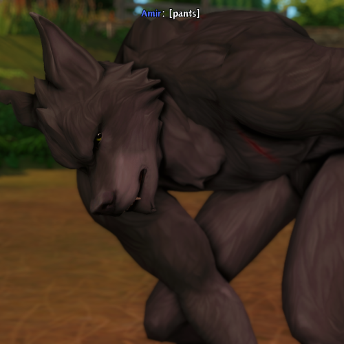 Chapter Seven Adie (The Fight Pt 2) - Previous // Next // Beginning // Werewolf Lore