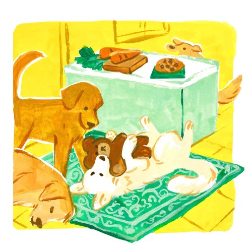 oliviawhen:  Doggust! Golden retrievers, old english sheepdog, and chihuahua!!