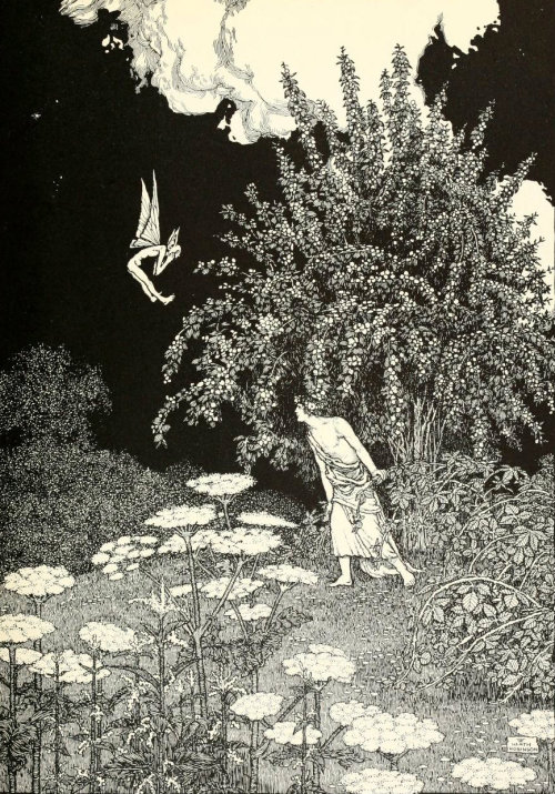 english-idylls: W. Heath Robinson’s illustrations of A Midsummer Night’s Dream by William Shakespear