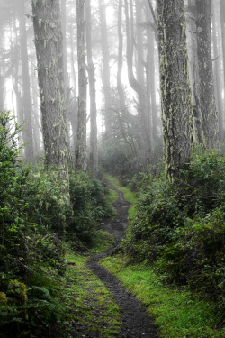 steepravine:  Perfect Path This is one of