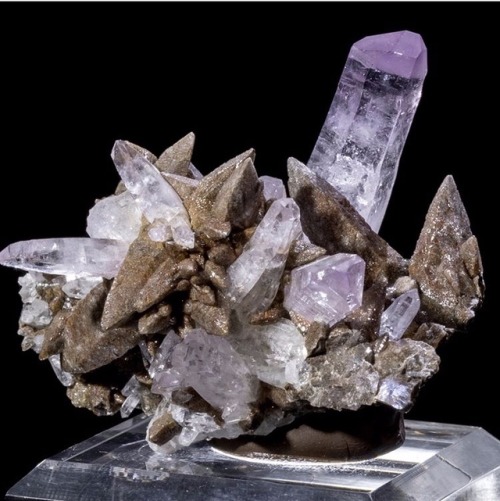mineraliety: @greenstone_fine_mineralia has some fine mineral specimens like this Amethyst with