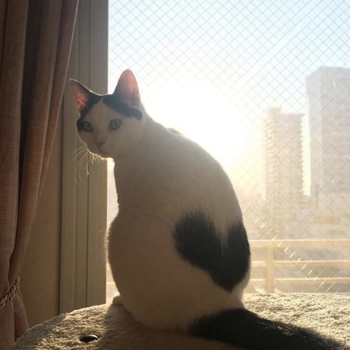 ☽