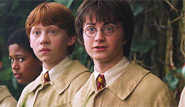 threebroomsticks:“Mandrake, or Mandragora, is a powerful restorative,’ said Hermione, sounding as us