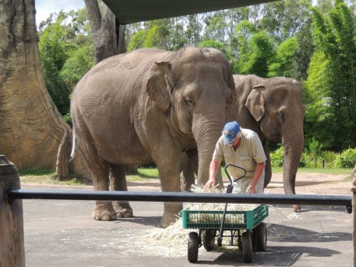 waterkid:  the-tribal-kids:  my photo! my uncle went to australia zoo so i stole his pics lol  Q’d, 