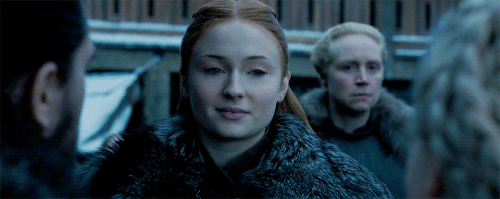 aprilkpner:the powerful eyes of sansa stark