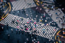travelingcolors:  Shibuya Crossing, Tokyo | Japan (by Les Taylor Photo) 