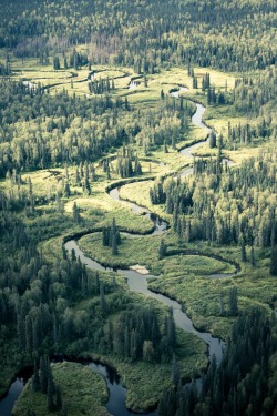 venividiamavi999:  Denali, Alaska by Simon Dubreuil on Flickr. 