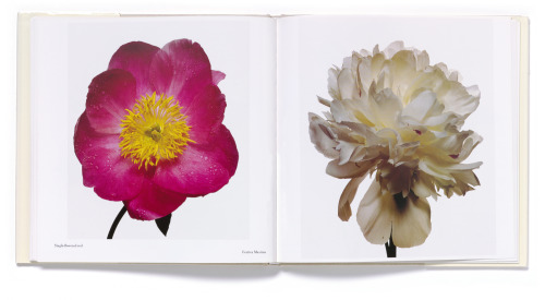 FlowersThis book is a selection of photographs Penn made for Vogue Christmas issues between 1967 and