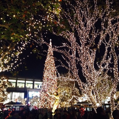 #Christmas time in Los Angeles #nofilter (at The Americana at Brand)