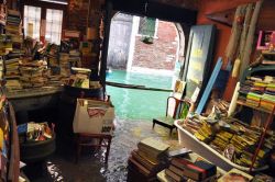 laserenissima7:  Libreria Acqua Alta ~ Venice