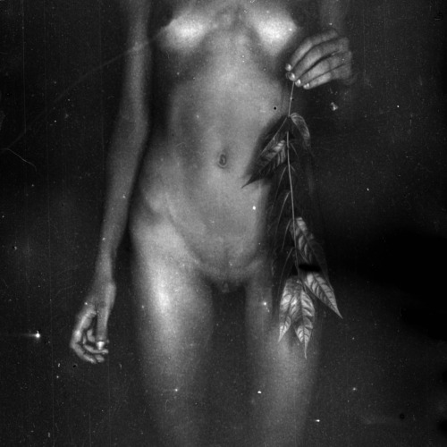 hipstamaticsex:  by Teknari 