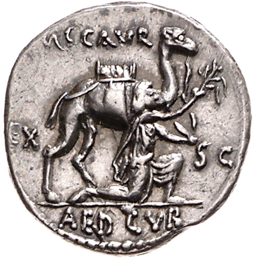 Marcus Aemilius Scaurus -  protégé of Pompeius and stepson of SullaA sllver coin ordered by the sena