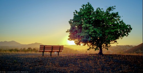 Sur Ce Banc Manques Quelque Chose ? Toi Et Moi Mais Qui. .ce Toi ?