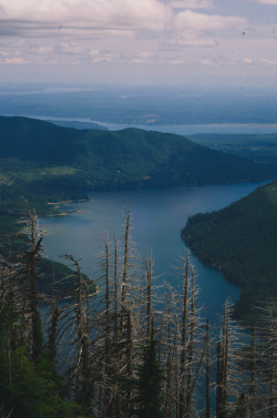 millivedderphotography:  Lake Cushman Flickr|Facebook|Tumblr|Society6  