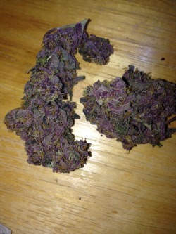 obeygordo:  All purp! 