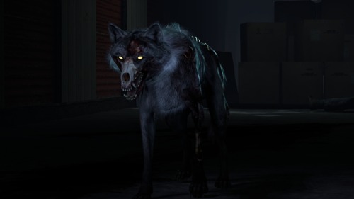  Call of Duty: Ghosts Wolf and Hellhound  Source Filmmaker Models Wolf and Hellhound models from Call of Duty: Ghosts.  Originally ripped by Asagrid at https://p3dm.ru.  Wolf model has two skins.  Quite possibly the world’s shittest SFM rigs