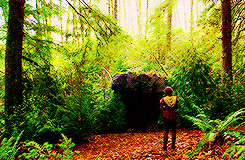 lanamparrillas:  Ouat + Scenerygasm requested by anonymous. 