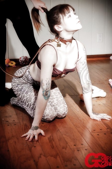 slavecafe:  BDSM Videos