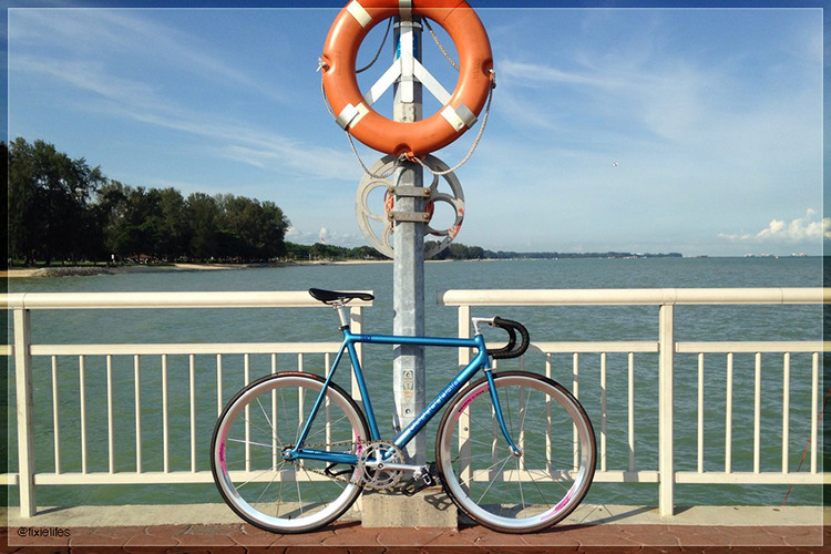 fixielifes:  Cannondale Track 