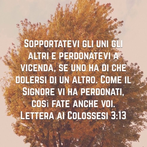 bibbia