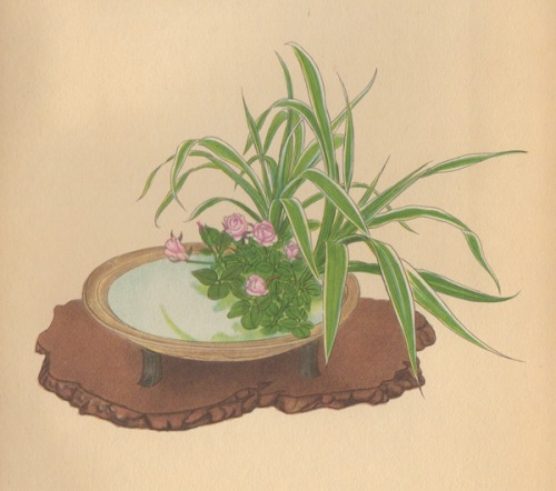 From Selected Flower Arrangements of the Ohara School, arranged by Koun Ohara, explained by K. Nakah