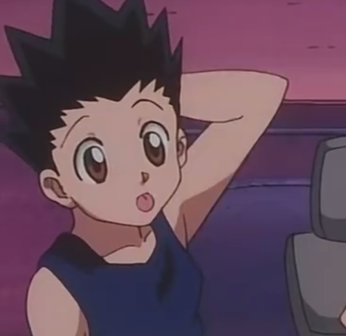 1999hxh::p the full collection