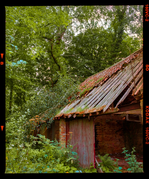 The Shack // Bothal, NorthumberlandSee more film photography at my instagram:  www.inst