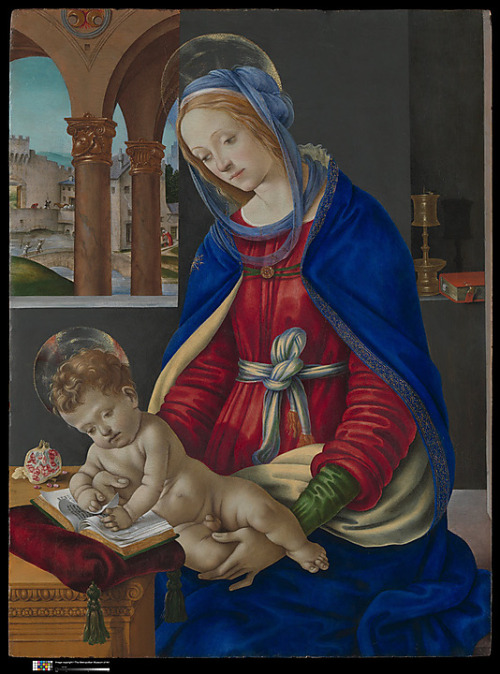 Madonna and Child - Filippino Lippi