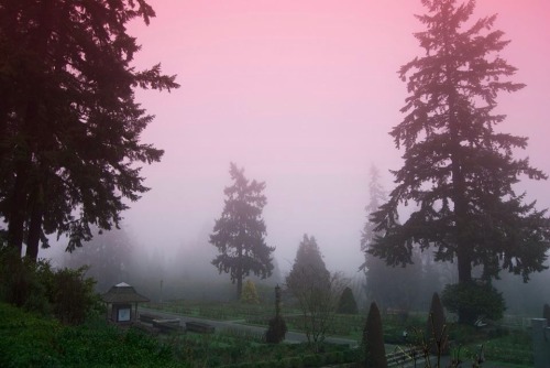 A foggy Portland morning