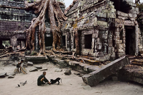 stevemccurrystudios:  Trees are SentinelsGuarding, Nurturing, ProtectingBastions of DignityBreathing lifeProviding shelterAsking for nothingSacrificing everything- Kay Earle 