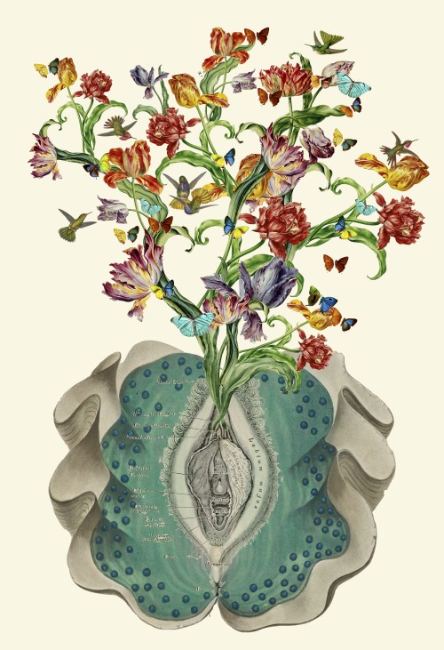 sexxxisbeautiful:  savannah-saving-the-world:  bedelgeuse:  “Anatomy of a Female Orgasm” collage art by bedelgeuse. Created for the 30th annual exotic art show.  This is so pretty.  would tattoo on me.