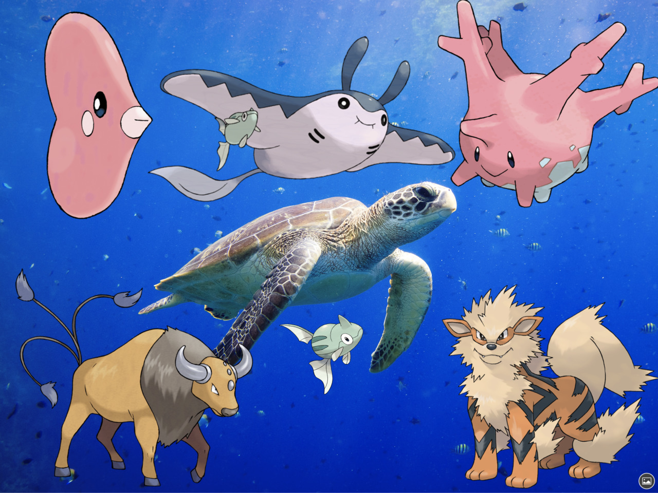 ポポッコ Tumblr Posts Tumbip Com