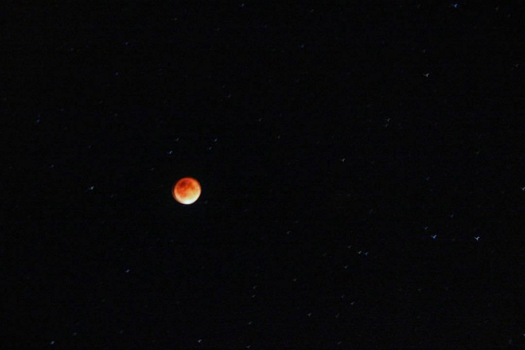 Here’s my epic #bloodmoon picture from last night