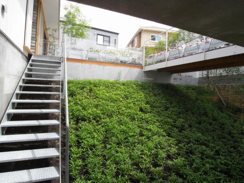 architags:  Tato Architects. House in Toyotomi. Japan. photos: Kaori Ichikawa