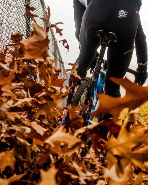 apisonadora60: Roosting through the winter leaves.by ATTAQUER   #attaquer  #beyouralterego