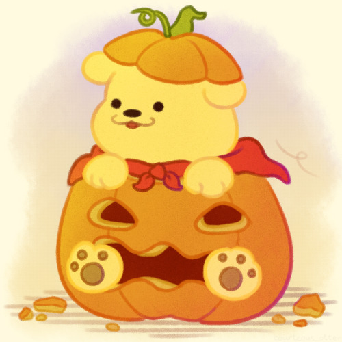 bear in a pumpkin, what will he do