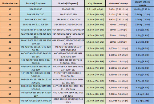 ddmorpher:  BRA’s & BOOB’s interesting table for all boob fansHope you like it. ? 
