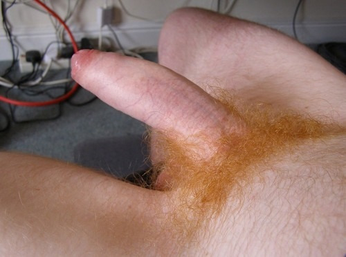 Porn photo bbincumming2:  hungdudes:  Hung Uncut Ginger