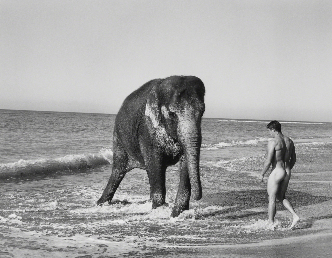 Photos nude The Man Elephant US viral