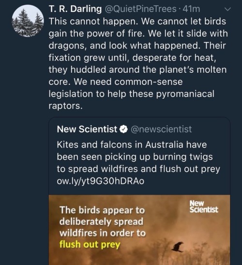 elodieunderglass: adoomkitten:  quietpinetrees:  New Scientist: Kites and falcons in Australia have been seen picking up burning twigs to spread wildfires and flush out prey  ow.ly/yt9G30hDRAo  QuietPineTrees: This cannot happen. We cannot let birds gain