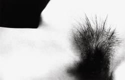 tilikecoelho: Ralph Gibson