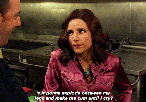avenue-5:get to know me∟ favorite characters → selina meyer