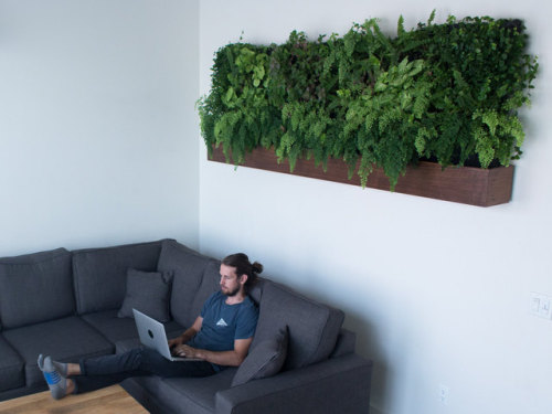 sosuperawesome: Self-Watering Vertical Gardens Matt Rabinovitch on Etsy See our #Etsy or #Plants tag