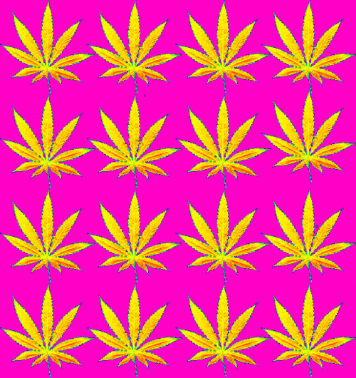 For the love of plants🧿💨✨️🌸